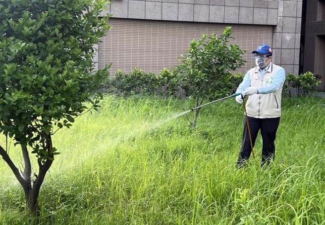 山陀儿颱风为台湾带来强风和豪雨，造成部分地区传出灾情，并有积水现象，恐孳生登革热病媒蚊。（报系资料照）