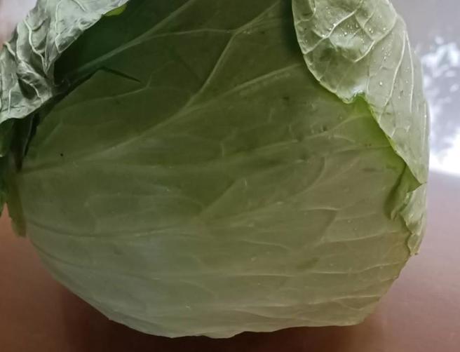 有家庭主妇4日在市场买一颗高丽菜要430元，吓到手软。（民眾提供）