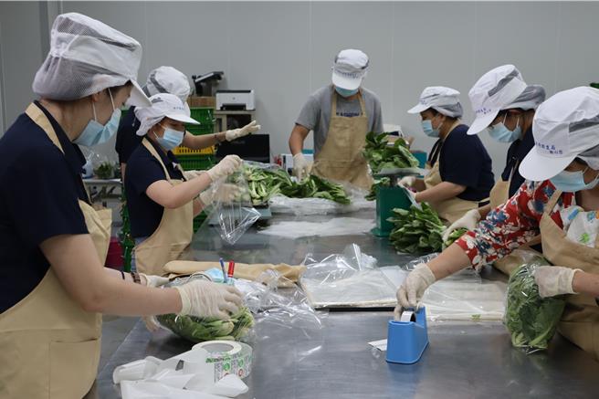 新竹县农会有机蔬菜供应平台4日当天工作人员全力包装蔬菜，盼让蔬菜顺利并迅速出货。（邱立雅摄）