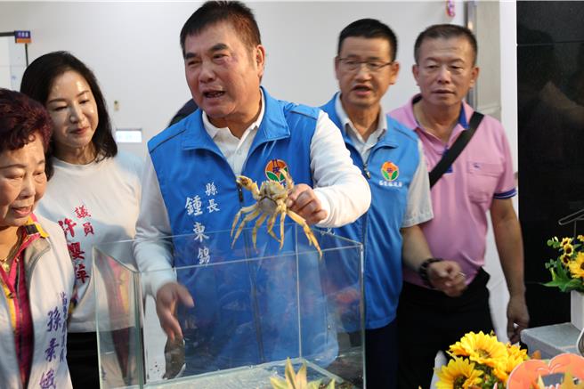 2024年度苗栗县优质大闸蟹预计国庆假期正式上市，今年自大陆引进试养罕见白色大匣蟹「白玉」，苗栗县长锺东锦抓起一只白玉大匣蟹展示。（谢明俊摄）
