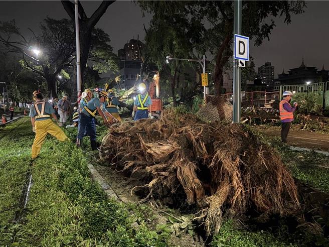 山陀兒颱風強風豪雨，導致不少障礙物入侵輕軌軌道，高捷公司出動百人徹夜搶修。（高捷公司提供／紀爰高雄報導）