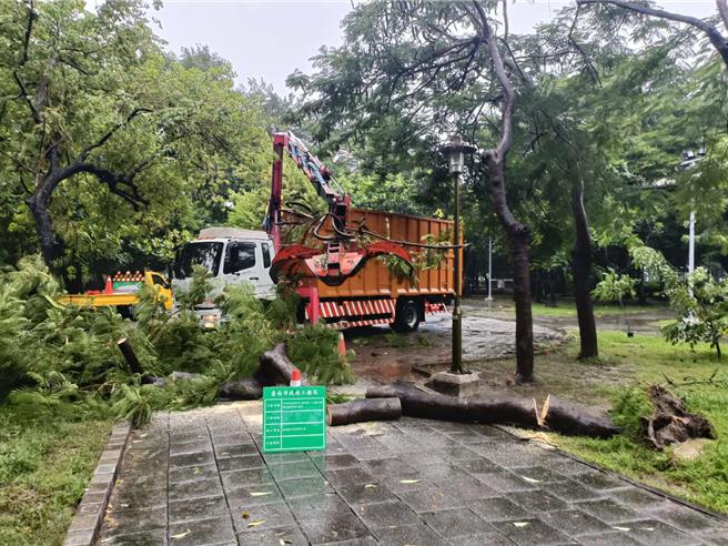 山陀儿颱风期间，台南市仅有零星路树倒塌事件。（工务局提供／曹婷婷台南传真）