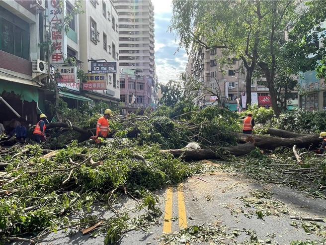 台南市出動86人32車前往高雄支援救災，圖為協助移除倒塌樹木。（台南市政府提供／曹婷婷台南傳真）