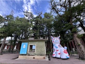 10月来台南当追猫人 爆红「巷仔Niau」陪你游景点