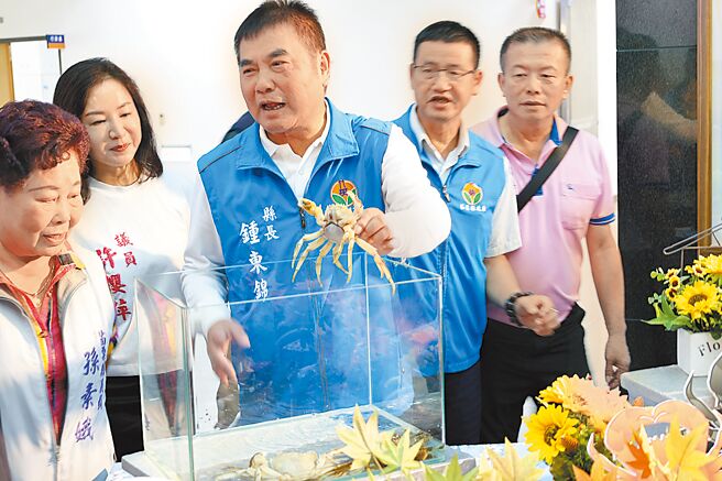 苗栗縣內所養殖的大閘蟹將進入黃肥膏滿時節，每一隻大閘蟹都讓人垂涎欲滴，縣長鍾東錦（中）4日上午大力推銷苗栗大閘蟹，並展示今年特別由大陸引進試養最新通體全白的大閘蟹品種「白玉」。（謝明俊攝）