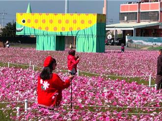 台中花現龍井喊停！改辦「綠映生活節」用藝術與音樂接棒