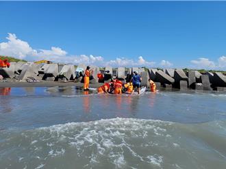 小虎鯨集體擱淺與颱風有關？成大專家：待釐清