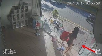 擅闖檳榔攤遭「辣妹西施」持球棒驅趕 客來立即丟棒溫柔迎客