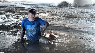 糗了！ 颱風過後遛狗散步　竟深陷淤泥動彈不得