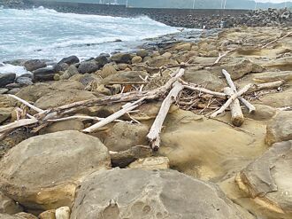 隨意撿漂流木 最高判刑7年