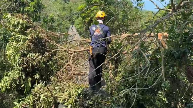消防人員入山尋找失聯者。（翻攝照片／洪靖宜高雄傳真）