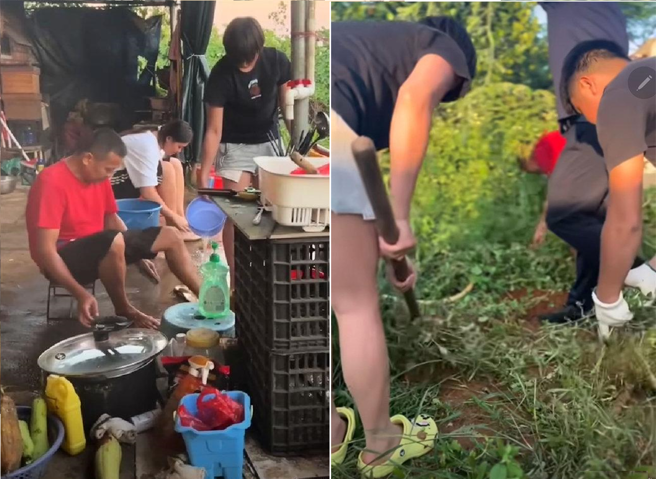 刚参加完国宴引发话题，全红婵回到老家立即进厨房帮忙，还下地锄草帮老爸干农活。（图／新浪网）