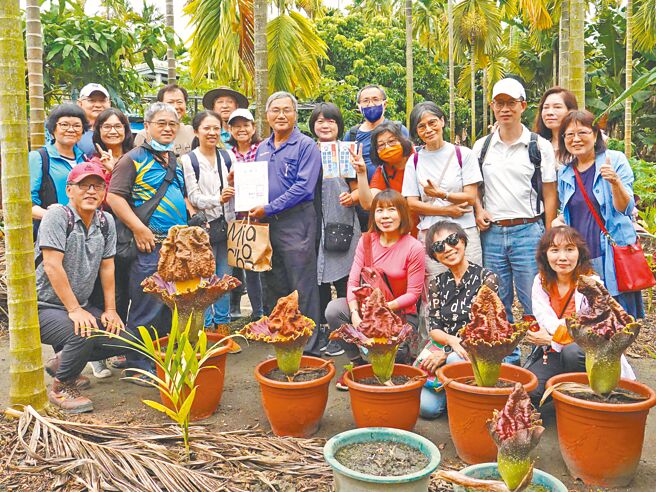屏東縣新埤鄉建功村復育魔芋有成，因此帶動地方觀光，不少人「聞臭而來」，就為一睹這神奇植物。（新埤數位機會中心提供／謝佳潾屏東傳真）