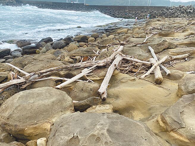 新北市農業局提醒民眾勿擅自撿拾漂流木，違者最高可處7年有期徒刑併科罰金2000萬元。（新北市農業局提供／陳慰慈新北傳真）