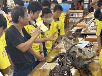 不只是化石！大成国中跨域整合 让学习更有趣