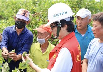 山陀兒颱風重創高雄！蜜棗芭樂損失約5740萬