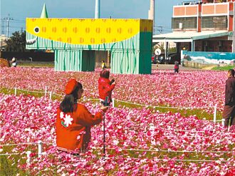 花現龍井喊停 新推綠映生活節