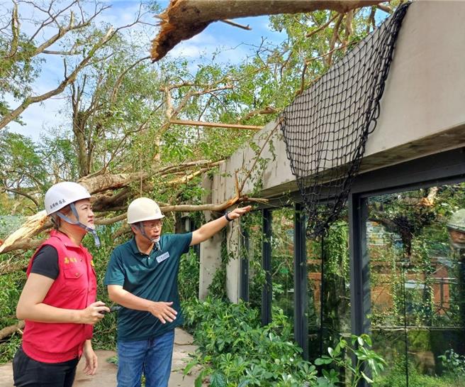 高雄寿山动物园灾情惨重，高市观光局长高闵琳视察灾情发现，园内许多树木倾倒、展场玻璃破裂，就连办公室屋顶也被吹落等惨况。（高市观光局提供）