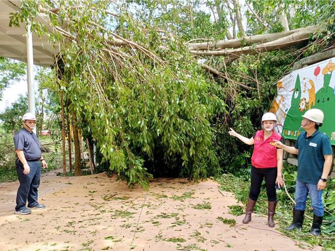 高雄寿山动物园灾情惨重，高市观光局长高闵琳视察灾情发现，园内许多树木倾倒、展场玻璃破裂，就连办公室屋顶也被吹落等惨况。（高市观光局提供）