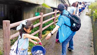 守護海洋行動邁入第13年 南山人壽淨灘 加碼魚苗放流