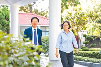 蔡賴分工 拓展二軌外交