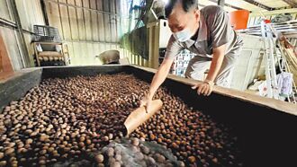 台南 進口貨充斥 本土龍眼乾受衝擊