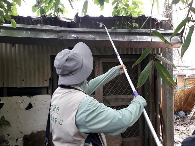 台南市新增今年第3例日本腦炎病例，市府衛生局籲請民眾落實環境滅蚊等防疫措施。（衛生局提供／洪榮志台南傳真）