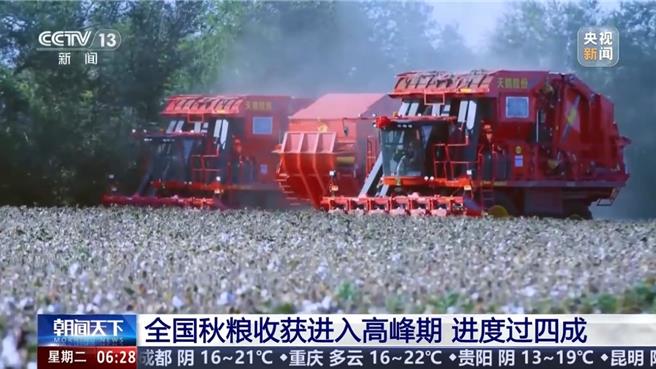 寒露時節陸秋糧收穫進高峰期進度逾四成。（大陸央視）