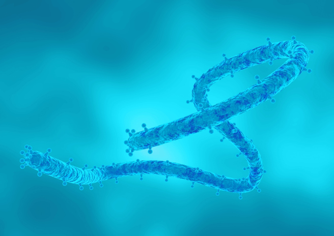 非洲旅游疫情升级！马堡出血热12死，罗一钧：已备8万剂药。（示意图：shutterstock／达志）