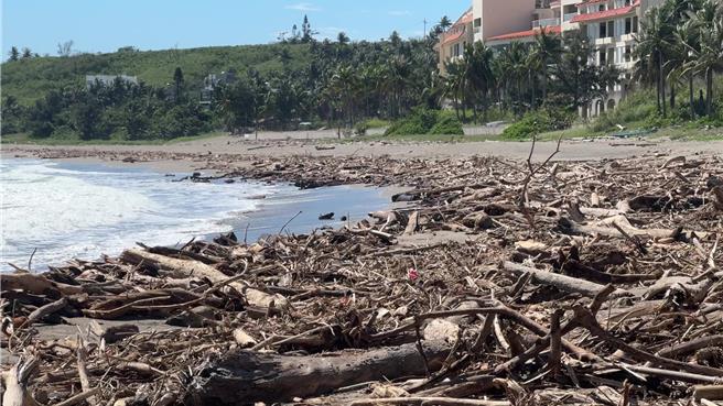 台東縣卑南鄉杉原灣富山護漁區漂流木。（蔡旻妤攝）