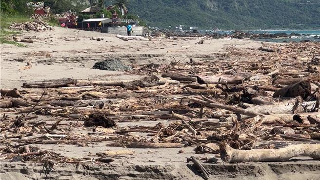台東縣卑南鄉杉原灣富山護漁區漂流木。（蔡旻妤攝）