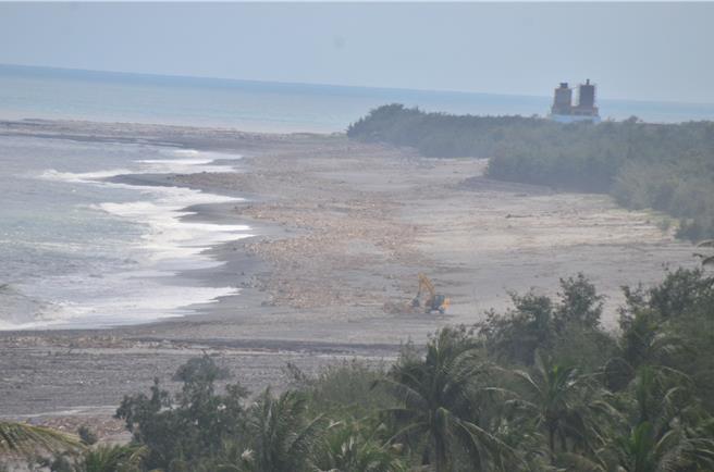 台東縣太麻里鄉新香蘭海岸漂流木。（蔡旻妤攝）