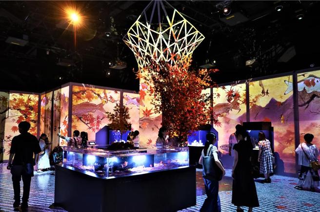 台达协助日本东京「Maxell Aqua Park品川」水族馆打造全新视觉飨宴。图／台达提供