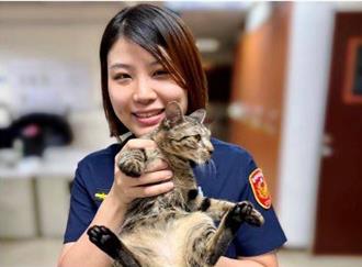 小猫喵喵叫挡巡逻车！暖心女警PO网「协寻主人」助毛孩顺利返家
