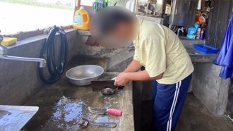 麻豆台灣鯛餐廳業者 暖聘智能障礙母子助安穩就業