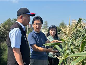 雲林推永續農業！生物防治與碳匯技術助陣