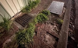 竹市南寮人行道碎裂、雜草叢生 遭批生活品質跟不上區域發展