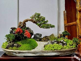 10月士林官邸賞盆景！「台北漢風盆景展」展現千年盆景藝術