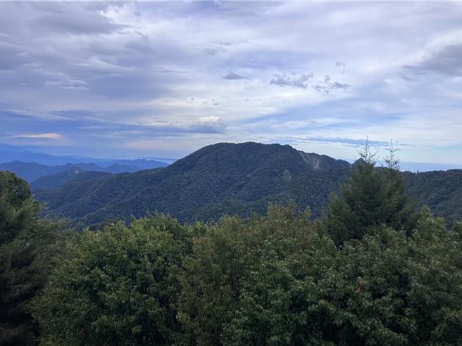 大雪山国家森林游乐区。（林保署提供／李京升台中传真）