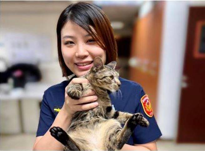 寧夏路派出所警员林珈瑄协助走失猫咪返家。（警方提供）