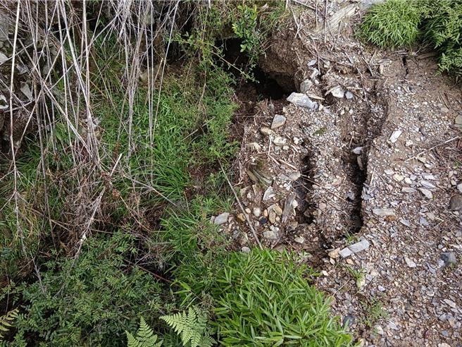 北大武山步道及檜谷山屋受近日午後強降雨影響，約2公里處路基產生裂縫且有擴大情形，為安全考量，將延長暫停開放至12月31日。（林業保育署屏東分署提供／謝佳潾屏東傳真）