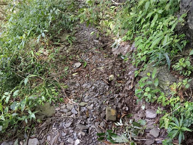北大武山步道及檜谷山屋受近日午後強降雨影響，約2公里處路基產生裂縫且有擴大情形，為安全考量，將延長暫停開放至12月31日。（林業保育署屏東分署提供／謝佳潾屏東傳真）