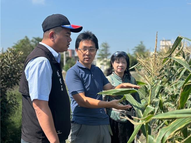 雲林縣褒忠鄉公所9日在農業經營專區舉辦「農業技術觀摩會」，利用生物防治減少農藥使用，以及透過生物材料敷蓋等農耕技術，改善土壤有機質及碳匯潛力，推動農業永續發展。（褒忠鄉公所提供／張朝欣雲林傳真）