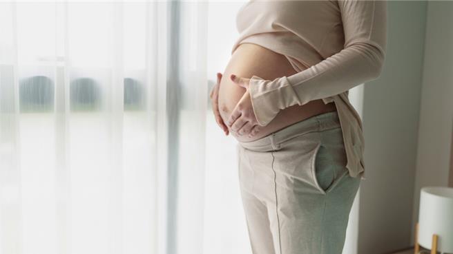 妇儿团体联盟批评，政府仓促立法，不可能解决少子女化问题。（示意图:shutterstock/达志）