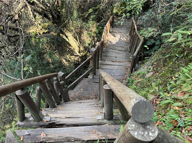 霞喀罗古道13.6K栈桥阶梯整修 ，预计12月17日修復。（林业署新竹分署提供／邱立雅竹县传真）