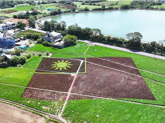 桃園溪海花卉秋季展區登場 4公頃彩繪稻田打造千坪國旗