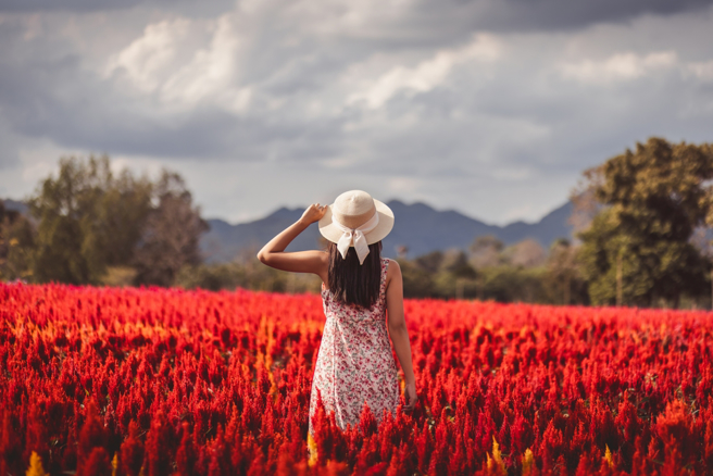 10月中旬，鼠、马、兔3生肖可能在聚会、社交场合遇见心仪的对象，开启一段美好的爱情旅程。（示意图：Shutterstock／达志）