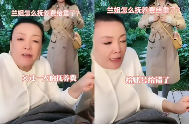 张兰强调从未拖欠抚养费。（图／翻摄自小红书）