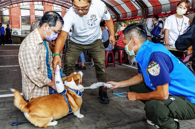 新竹县动物保护防疫所10日广场举办「毛齐来打」狂犬病疫苗注射活动，工作人员会先扫瞄狗狗有无植晶片，让民眾顺便办理宠物登记。（罗浚滨摄）