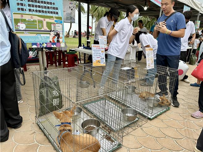 结合国庆日健走，太平洋公园还有宠物趣味竞赛、闯关游戏等，也设有宠物认养区等。（王志伟摄）